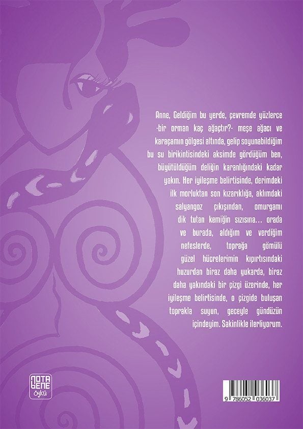 Akıl Deliği: Anadipsi