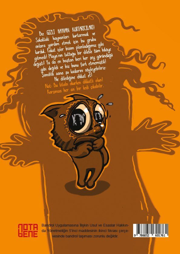 Dikkat Kedi Var!