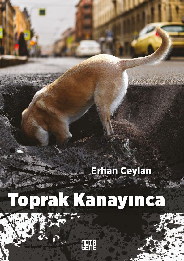 Toprak Kanayınca