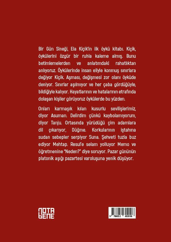 Bir Gün Sineği