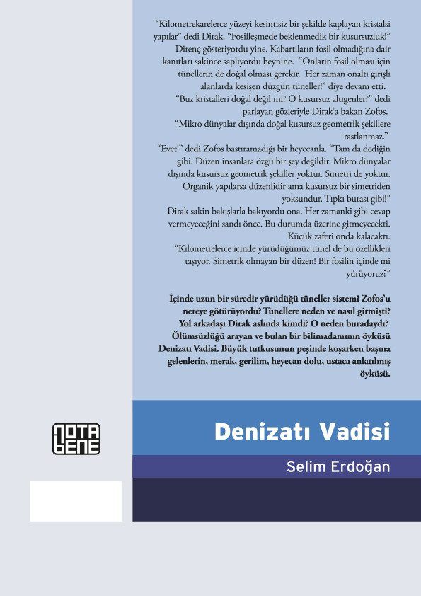 Denizatı Vadisi