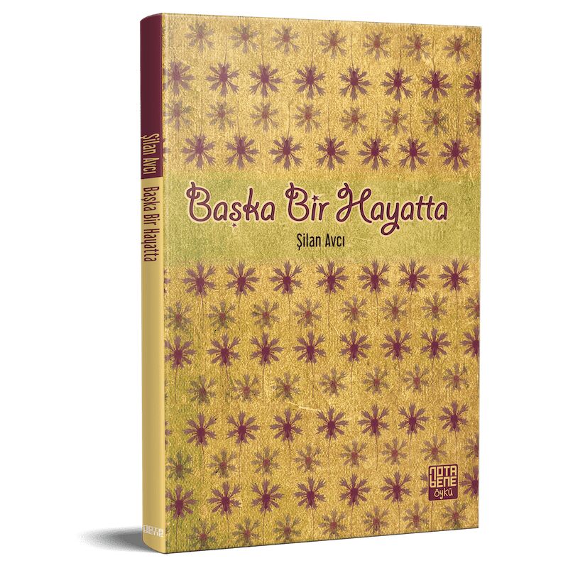 Başka Bir Hayatta