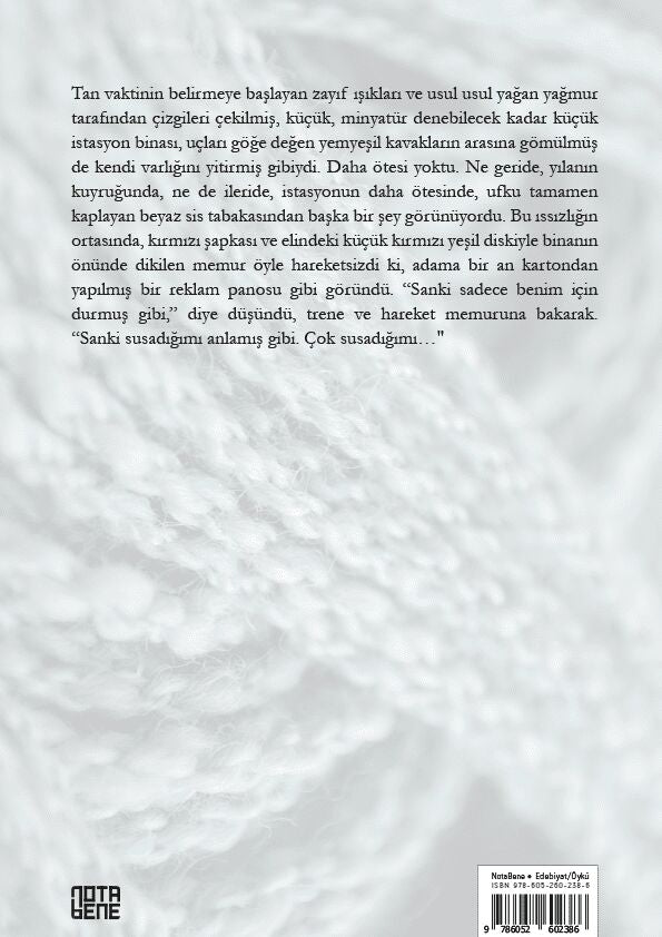 Yedinci Günün Sabahında