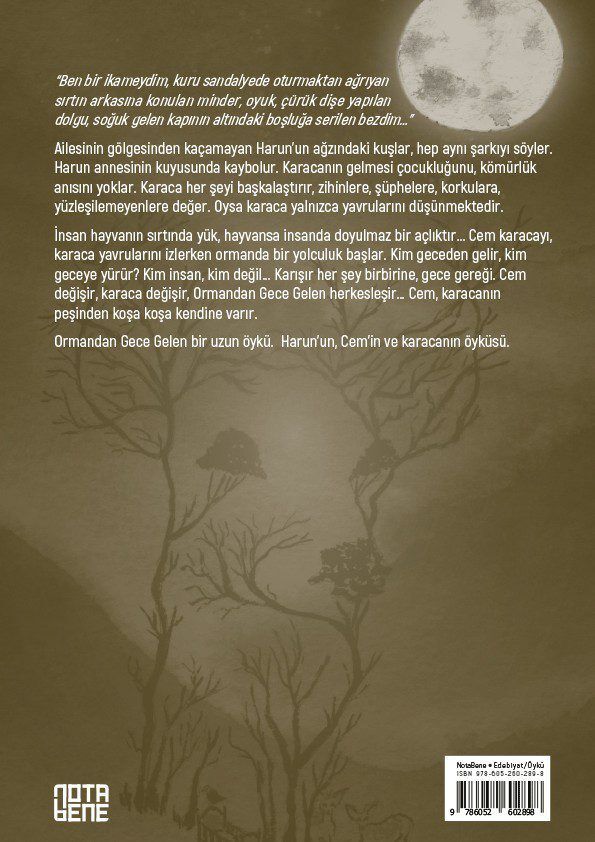 Ormandan Gece Gelen