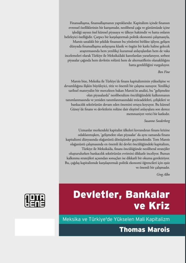 Devletler, Bankalar ve Kriz