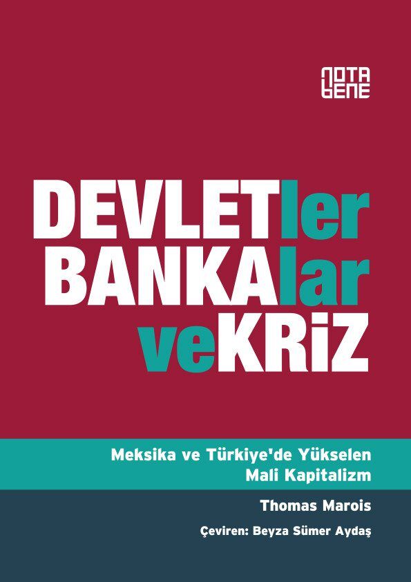 Devletler, Bankalar ve Kriz