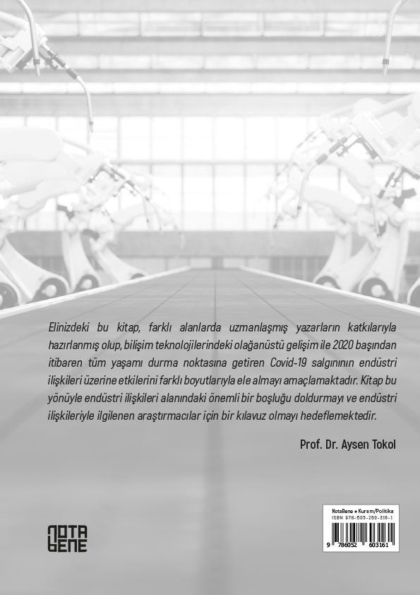 21. Yüzyılda Endüstri İlişkileri - Çalışma Yaşamının Dönüşümü, Aktörleri ve Geleceği