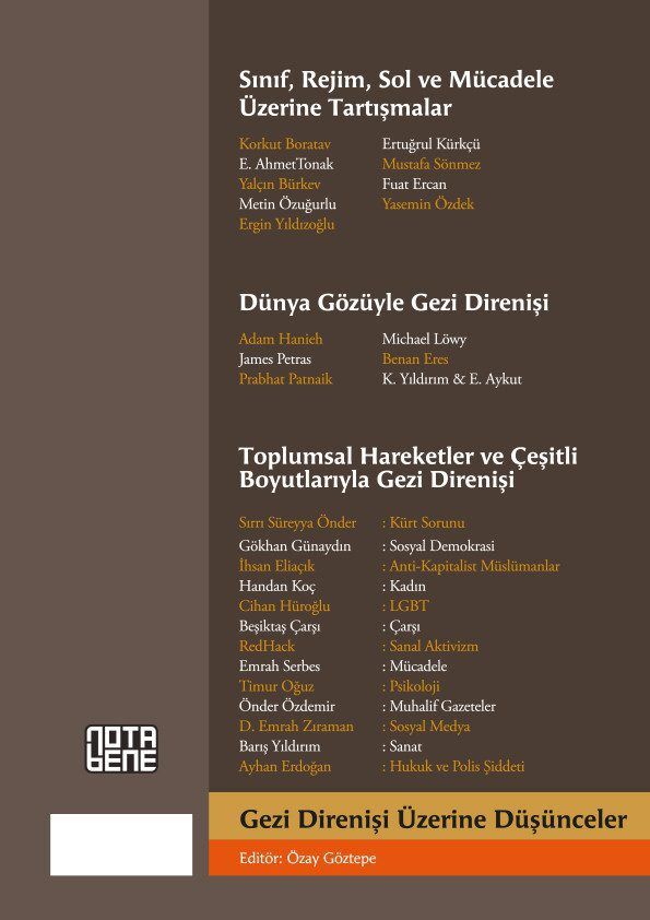 Gezi Direnişi Üzerine Düşünceler