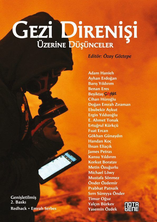 Gezi Direnişi Üzerine Düşünceler