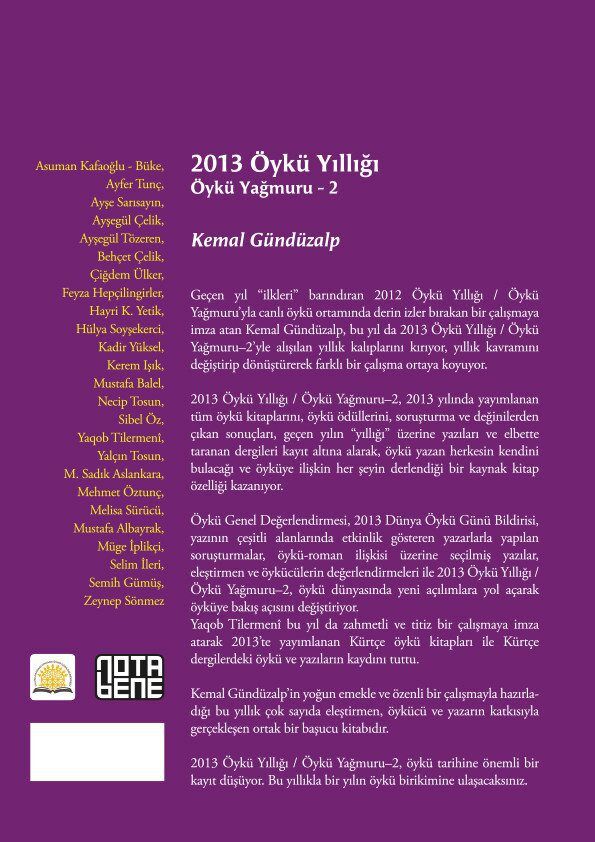 2013 Öykü Yıllığı - Öykü Yağmuru 2