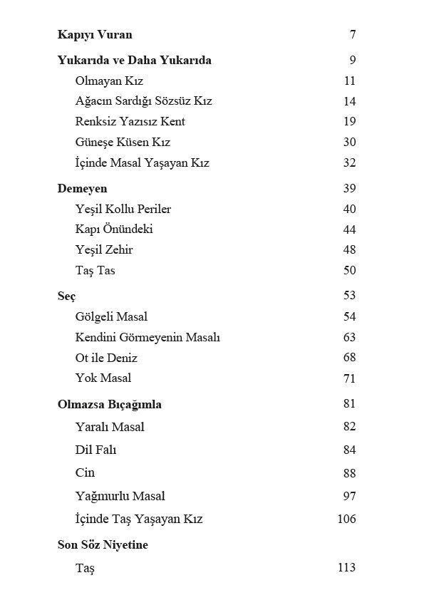 Bir Kız Varmış