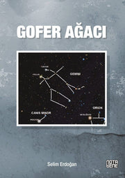 Gofer Ağacı