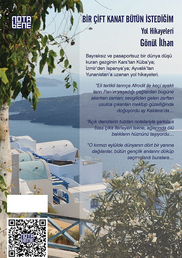 Bir Çift Kanat Bütün İstediğim