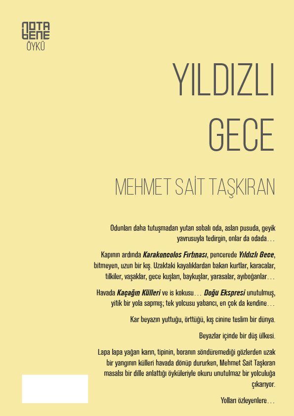 Yıldızlı Gece