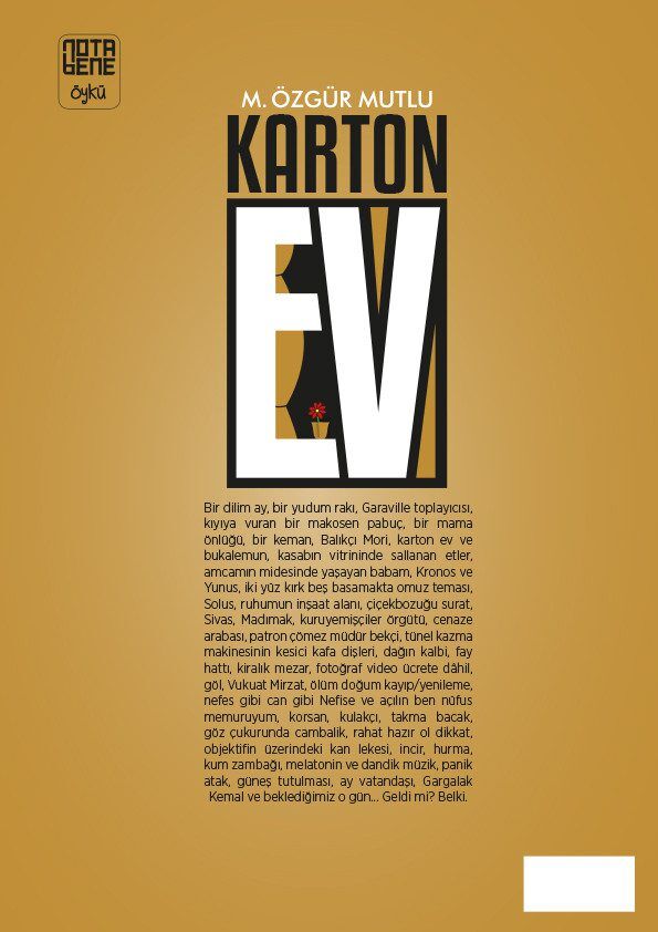 Karton Ev
