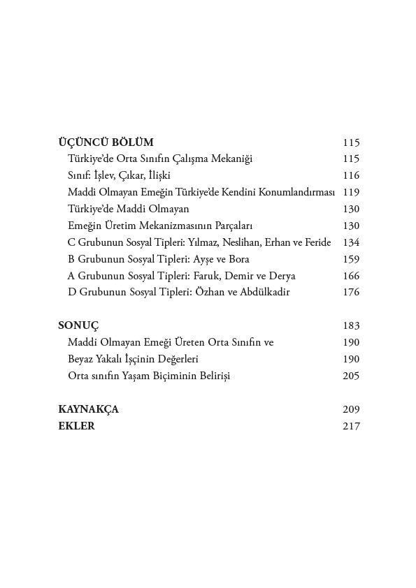 Türkiye'de Orta Sınıfın Fotoğrafı - Akışlar ve İlişkiler / Maddi Olmayan Emeğe Sahanın Eleştirisi