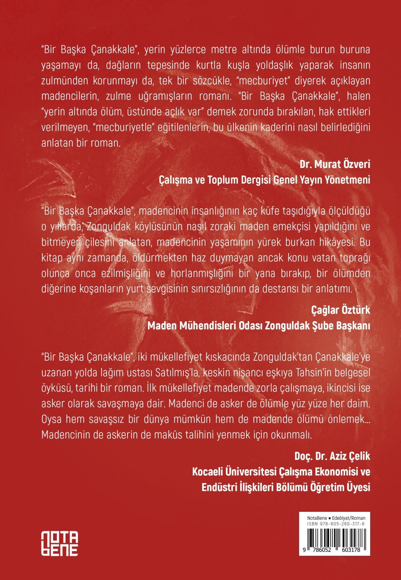 Bir Başka Çanakkale