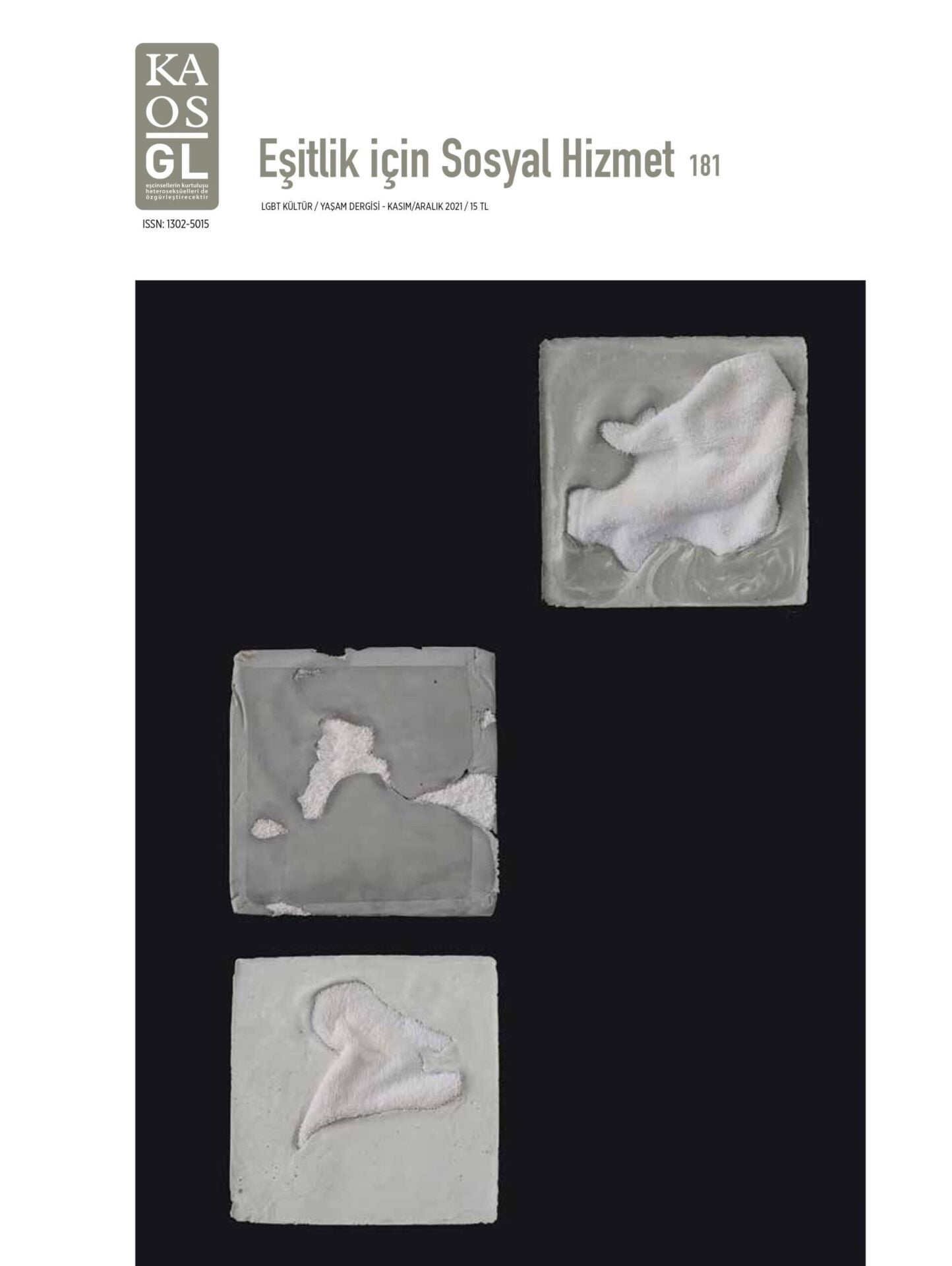 Kaos GL Dergisi Sayı 181- Eşitlik İçin Sosyal Hizmet