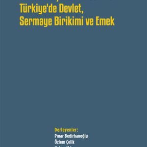 Finansallaşma Kıskacında Türkiye'de Devlet, Sermaye Birikimi ve Emek
